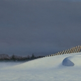 Snow Fence II