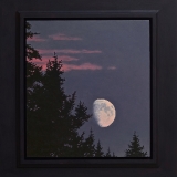 Lunar Twilight