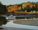 Maple Juice Cove Autumn