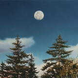 Day Moon