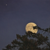 Violet Moonrise