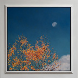 Autumn Birches with Moon