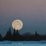 Boreal Moon