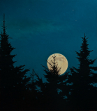 Conjunction