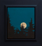 Conjunction Study