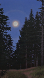 Islesboro Moonrise