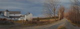 Mayer Farm IV