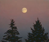 Moon Between Spruces
