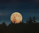 Phippsburg Moonrise
