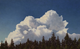 Summer Storm