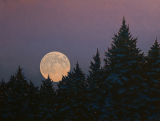 Winter Moon