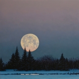 Boreal Moon