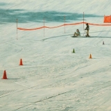 camden-snow-bowl-ii-2