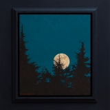 Conjunction Study