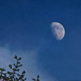 gibbous-dusk-study