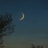 Moon, Venus, Poplars