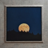 Perigee Moon