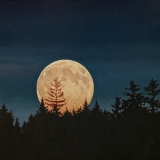 Phippsburg Moonrise