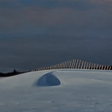 snow-fence