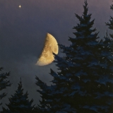 Winter Conjunction