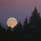 Winter Moon